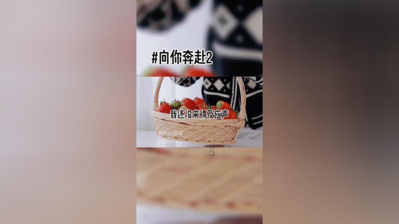 新华全媒+｜“中国最美小鸟”在厦门筑巢安家