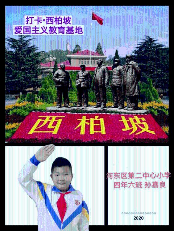 救援瓢虫宝宝