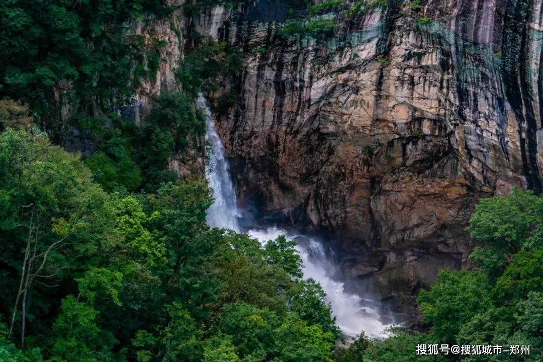 Chiyo | 性感壁纸-梦之翼